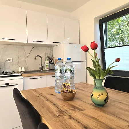 Holiday home Mazurski Z Cegly Nad Jeziorem Sedansk